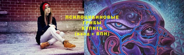 не бодяженный Армянск