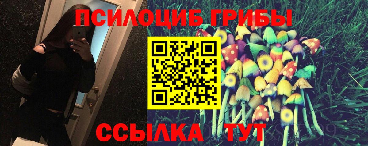 Псилоцибиновые грибы мицелий Асбест